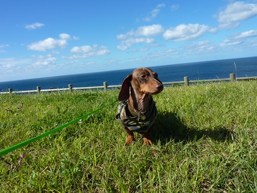 男鹿半島ぶらり旅