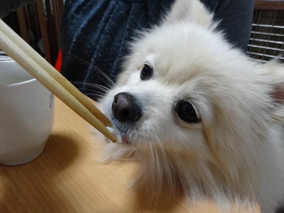 もろみ米うまいわん