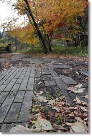 もく遊りん-9 ウッドデッキ-2 13.11.27