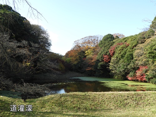 皇居乾通り一般公開