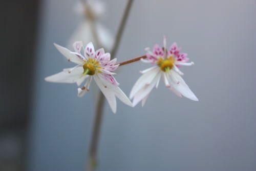 2015052702.jpg