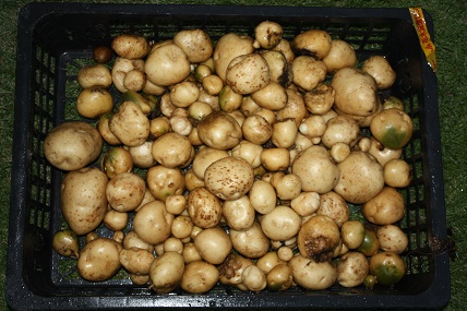 IMG_1084.JPG