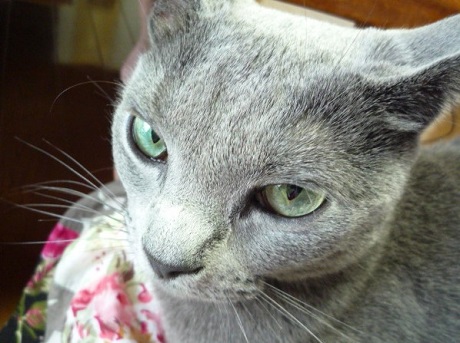 P1240690 - コピー.JPG