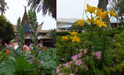 2012Flower45