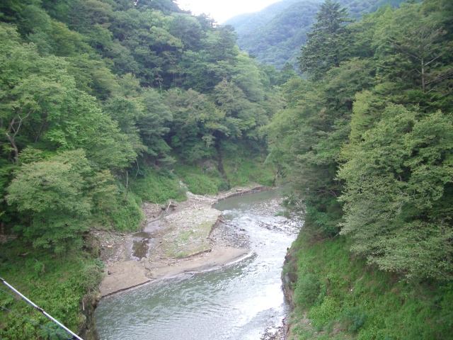 吊り橋からの眺め