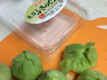 160109ふきのとう