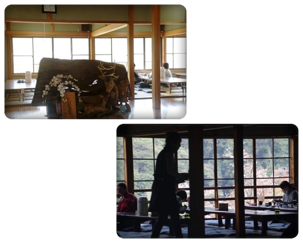 吉野山-16 ここで休憩 16.4.12