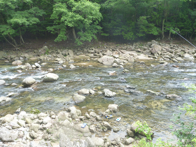 resize0021.jpg