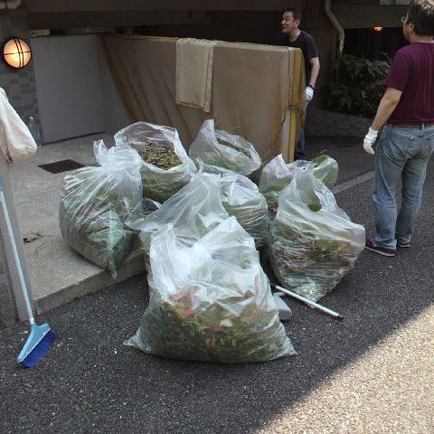 2012052709510000.JPG