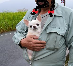 DSC_0352.JPG