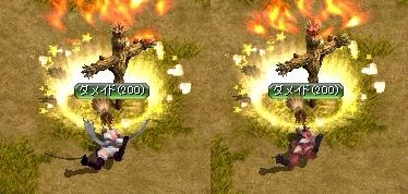 ぱんちら.jpg