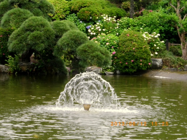 IMGP0877 (640x480).jpg