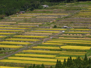 E-5 宮崎　熊本　あと諸富PA074202_61.jpg