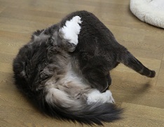 5DA_5454-23.jpg