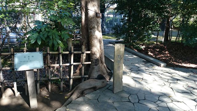 2015-11-03 13.27.39.jpg