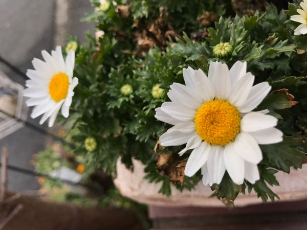 rblog-20170223222747-02.jpg