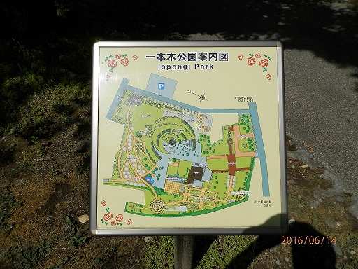 P6140005.jpg