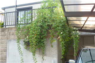P1040176.png