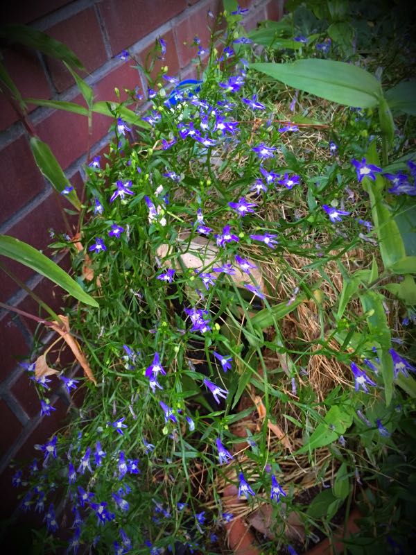 rblog-20160710211216-07.jpg