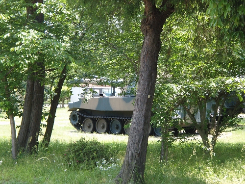 s-P5190012.jpg