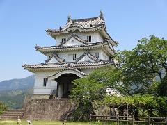 IMG_2221.jpg