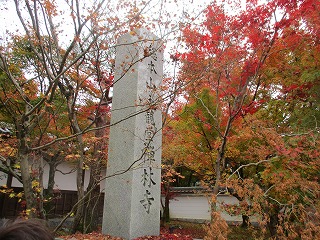 IMG_3507ss.jpg