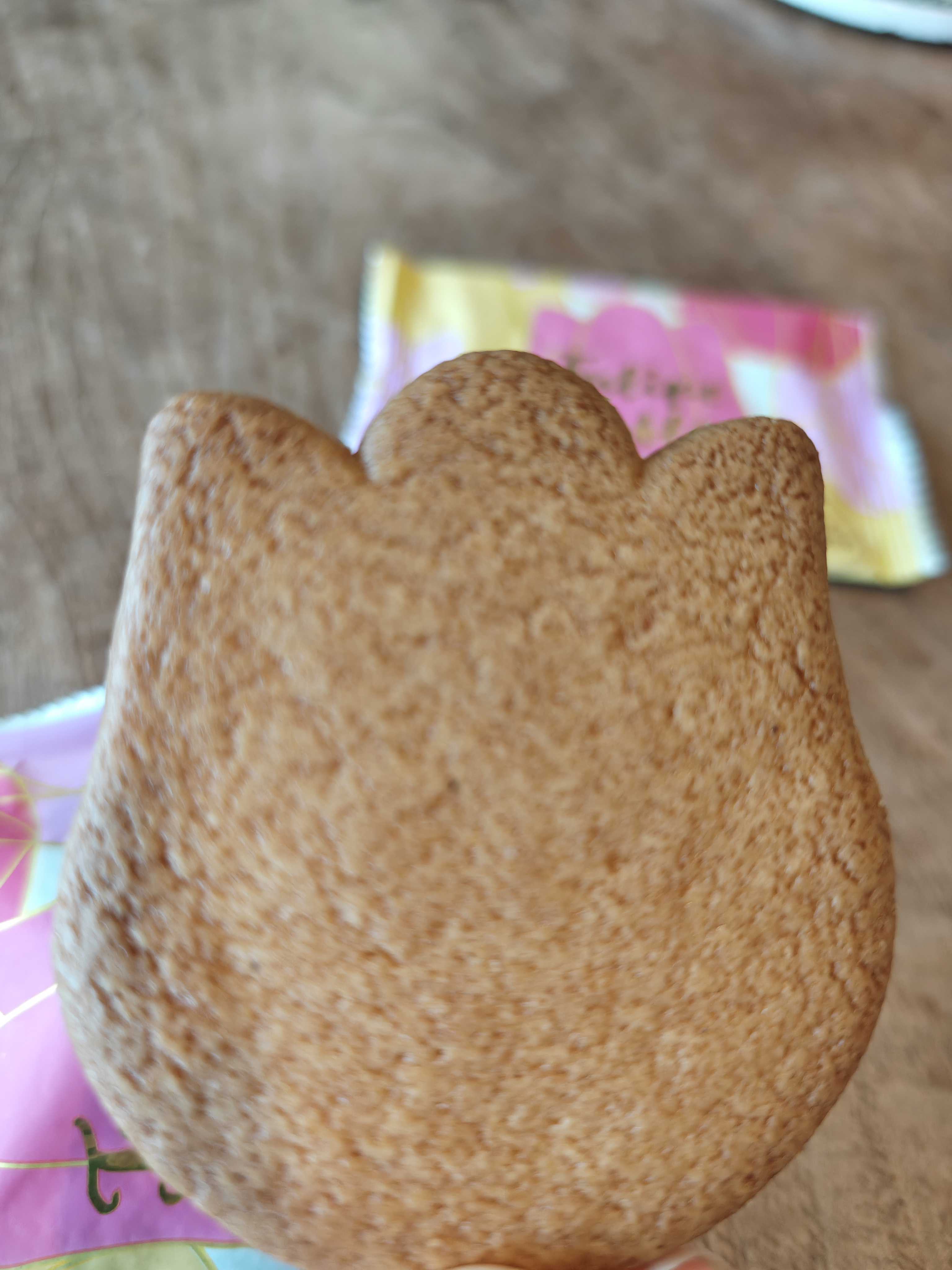 千葉銘菓　オランダ屋　チューリップサブレ