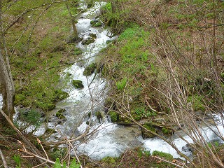 P1100510.jpg