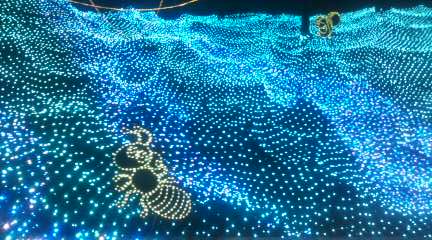 ウィンターイルミネーション