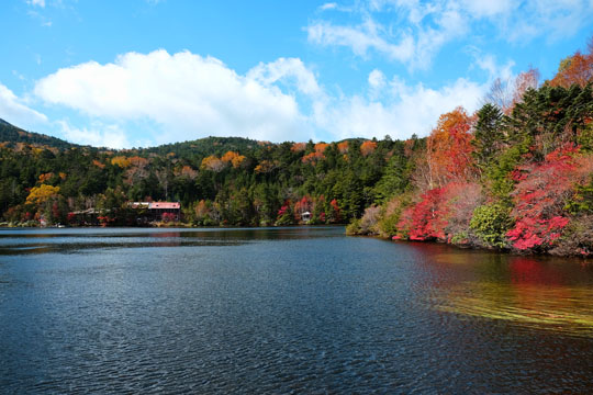DSCF9444.jpg