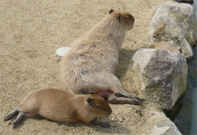 那須19.jpg