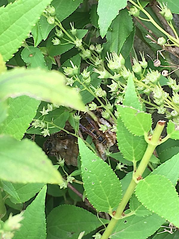 rblog-20180702212736-00.jpg