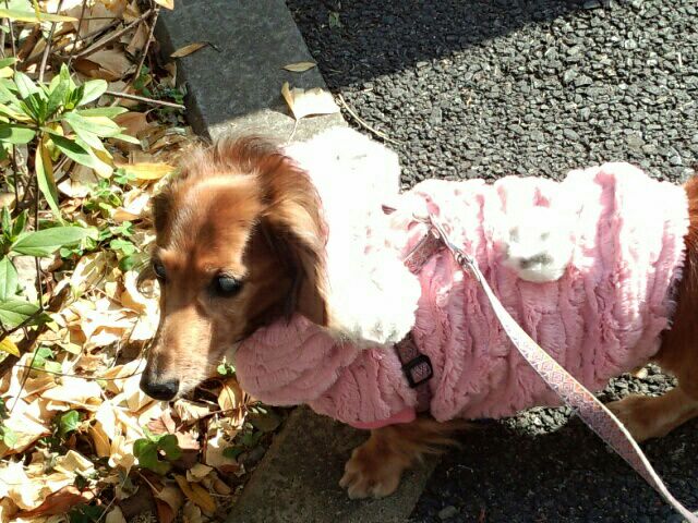 rblog-20141231123923-00.jpg