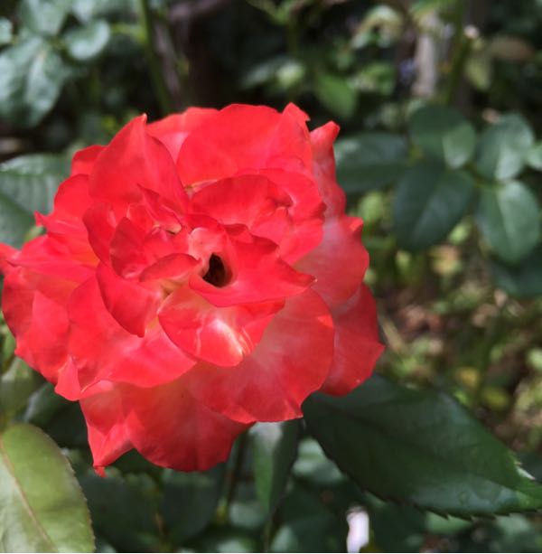 rblog-20160811142710-02.jpg