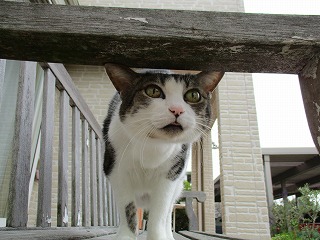 IMG_0486ss.jpg