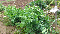rblog-20130403162334-03.png