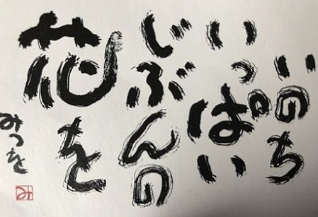 明日ありと思う心の仇桜 楽しいバラさんブログ 楽天ブログ