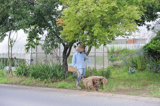 2013.6.21 008.JPG