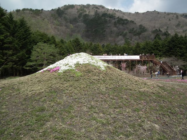 DSCF3818.JPG