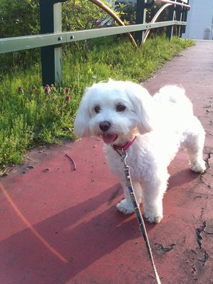 メルも楽しそう＾＾