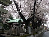DSC_2814.jpg
