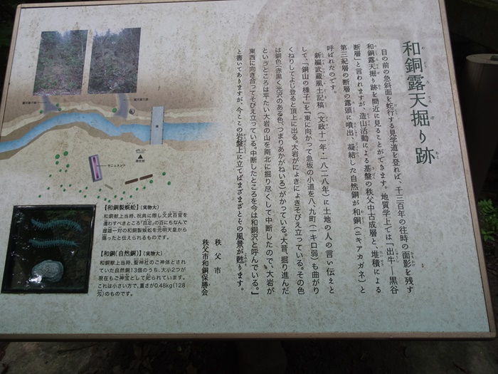 DSC06899_R.JPG