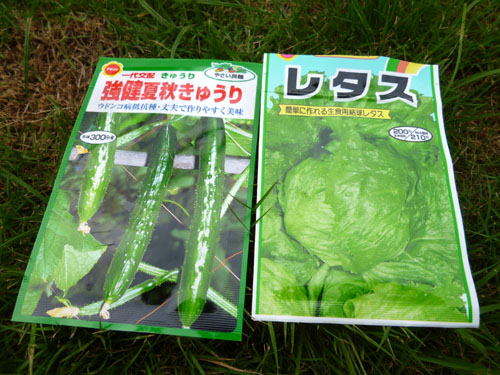秋キュウリ＿レタス.jpg