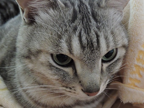 DSCN1214.JPG