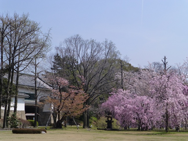549.JPG