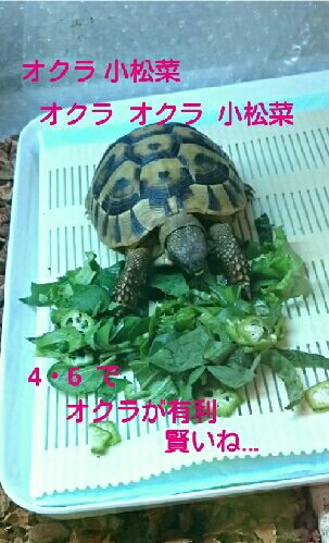 rblog-20151022091020-04.jpg