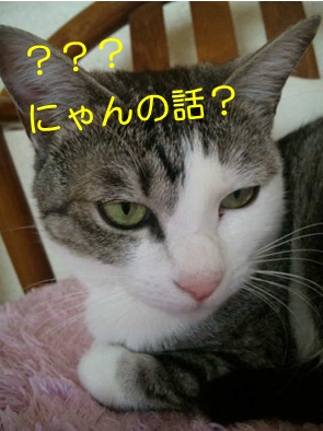 20120913_2.jpg