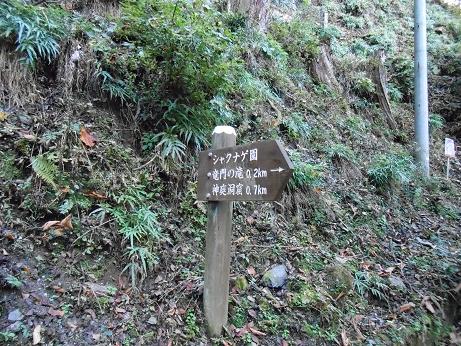 DSCN0682.jpg