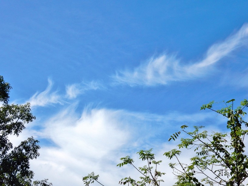 空4.JPG
