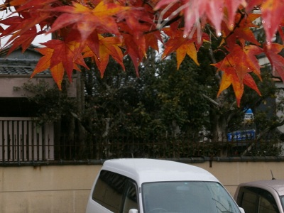 京都　洛北・鷹ヶ峰の紅葉